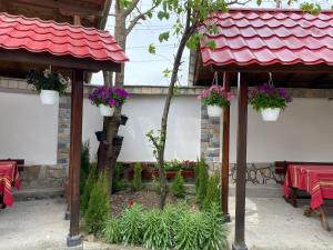 Zahrada ubytování Hotel Chinara