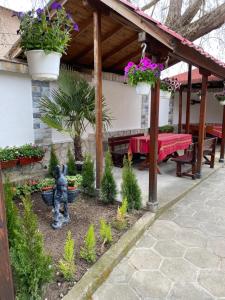 Градина пред Hotel Chinara