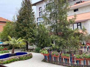 Zahrada ubytování Hotel Chinara