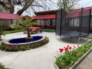 Zahrada ubytování Hotel Chinara
