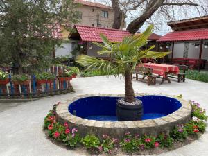 Zahrada ubytování Hotel Chinara