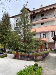 Zahrada ubytování Hotel Chinara