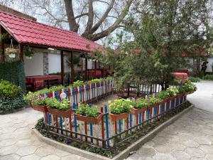 Zahrada ubytování Hotel Chinara