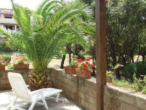 A garden outside Punta Ala Flat
