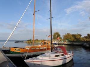 a sailboat docked at a dock in the water at Apartment Lagunenstadt Ueckermünde-3 by Interhome in Ueckermünde