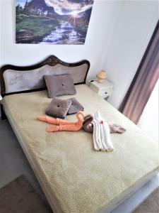 Una cama o camas en una habitación de Apartmani Soko Day 1