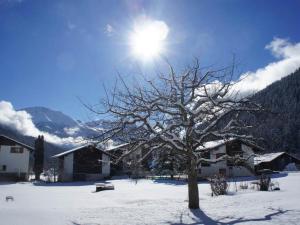 a tree in the snow with the sun behind it at Apartment Sweda by Interhome in Fieschertal