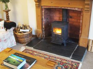 LlangwmにあるHoliday Home Narber by Interhomeの暖炉付きのリビングルーム