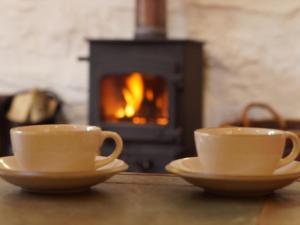 マカンスレスにあるHoliday Home Pernil by Interhomeの暖炉の前のテーブルに座ったカップ2杯