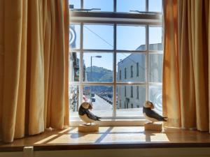 イフラクームにあるHoliday Home Quay Cottageの窓際に座る鳥2羽