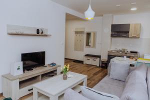 Telewizja i/lub zestaw kina domowego w obiekcie Planinsko srce