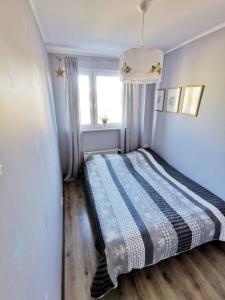 コウォブジェクにあるApartament Mieszko Kołobrzegの窓付きの部屋にベッド付きのベッドルーム1室があります。