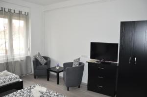 a living room with a television and two chairs at Apartman-Tata in Tata