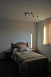 a bedroom with a bed and a window at Canadina 2 in Morgovejo
