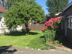 Fotografie z fotogalerie ubytování Peter Jensen House v destinaci Friday Harbor + 25 fotografií