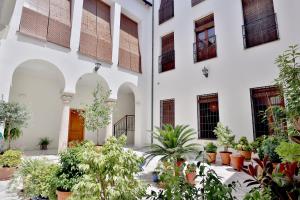 une cour d'un bâtiment avec des plantes en pot dans l'établissement Apartamento junto Plaza de la Corredera & Parking Gratuito, à Cordoue