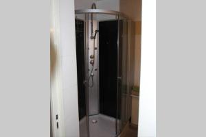 a shower with a glass door in a bathroom at Le cocon de Sausheim in Sausheim