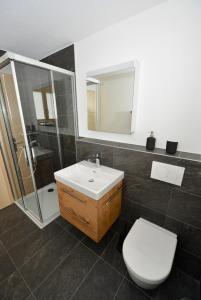 a bathroom with a toilet and a sink and a shower at Alpen-Park 2. Stock West in Riederalp +20 photos