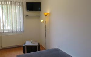 salon z lampą podłogową i telewizorem w obiekcie Repose Apartments w Hajduszoboszlo