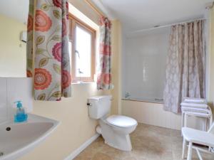 New RadnorにあるHoliday Home Whiteのバスルーム(トイレ、洗面台付)、窓が備わります。