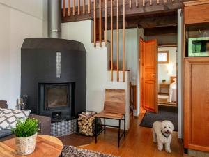 ein Wohnzimmer mit einem Hund vor einem Kamin in der Unterkunft Holiday Home Tahkon klubitie 2 a by Interhome in Tahkovuori