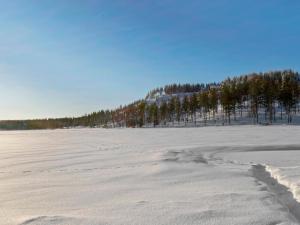 Hyrynsalmi的住宿－Holiday Home Hallantytär a1 paritalo by Interhome，一片被雪覆盖的田野,背景是树木
