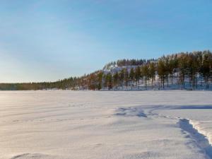 ein schneebedecktes Feld mit Bäumen im Hintergrund in der Unterkunft Holiday Home Hallantytär a2 paritalo by Interhome in Hyrynsalmi
