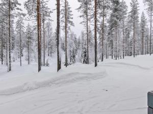 una foresta ricoperta di neve con alberi sullo sfondo di Holiday Home Ilves by Interhome a Kotila