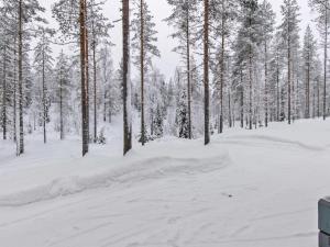 einen Schnee bedeckten Wald mit Bäumen im Hintergrund in der Unterkunft Holiday Home Ilves by Interhome in Kotila