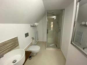 a white bathroom with a toilet and a shower at Pensiunea Teodora in Dorna Arini +40 photos