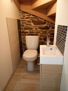 a bathroom with a toilet and a sink at Gite de charme Les Buissonnets in Plesder +8 photos