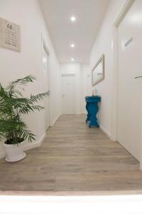 korytarz z niebieskim stołem i rośliną w obiekcie Maison Ligea w Sorrento