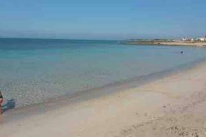 Táj Show holiday homes közelében