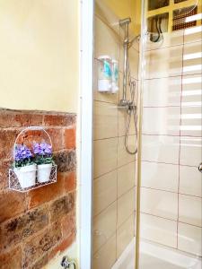 塞拉聖布魯諾的住宿－Il Vico，带淋浴的浴室和一篮鲜花