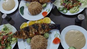 a table with plates of food with fish and salad at sea horse in Nuweiba +130 photos