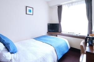 TV tai viihdekeskus majoituspaikassa Pod Select Hotel Shinjuku
