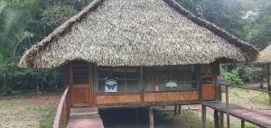 a small hut with a thatched roof at Cuyabeno River Lodge in Marian