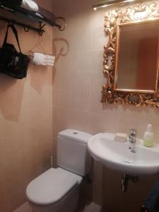 a bathroom with a toilet and a sink and a mirror at SANFAINA DE GATS in Deltebre