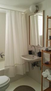ルートラキにあるParis Spacious Beach Apartmentのバスルーム(洗面台、トイレ、鏡付)