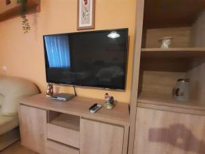 TV a/nebo společenská místnost v ubytování Krisztina Apartman