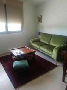 ein Wohnzimmer mit einem grünen Sofa und einem Couchtisch in der Unterkunft SANFAINA DE GATS in Deltebre