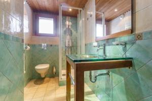 un bagno con lavandino e WC di La Grange de Marie a Les Allues