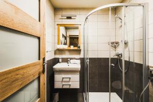 Koupelna v ubytování Apartmány Na Soutoku - Březník + 17 fotografií