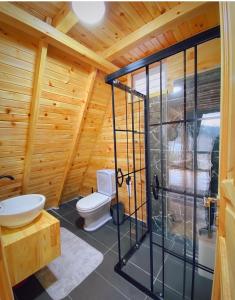 ein Badezimmer mit einem WC und einer Glasduschkabine in der Unterkunft Dorabungalov in Sakarya