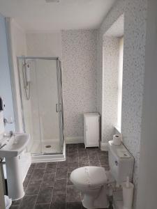 a bathroom with a shower and a toilet and a sink at isallt guesthouse in Blaenau-Ffestiniog