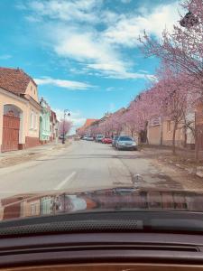 Foto dalla galleria di Casa Bergwald a Rîşnov