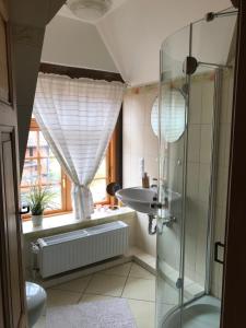 ein Bad mit einer Glasdusche und einem Waschbecken in der Unterkunft Ferienhaus im Bauerngarten in Hoyerhagen