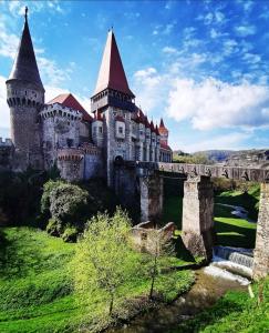 Afbeelding uit fotogalerij van Sarah Home in Hunedoara