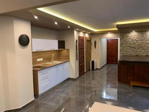 Kuchyňa alebo kuchynka v ubytovaní The Jakuzzi Room Miskolctapolca