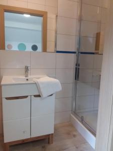a bathroom with a sink and a shower at Dworek Akacja in Janowiec